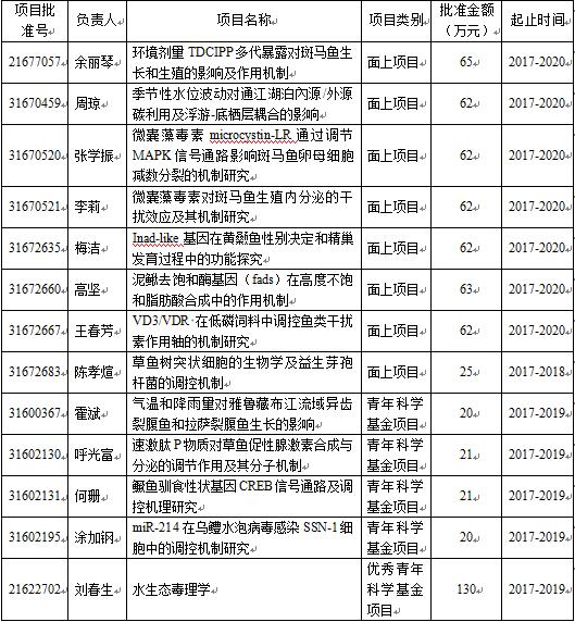 棋牌娱乐