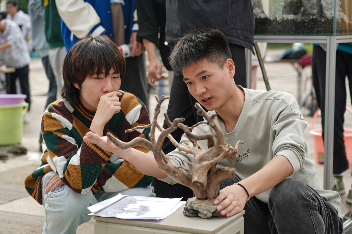 两位同学正在沟通造景思路-孙一享