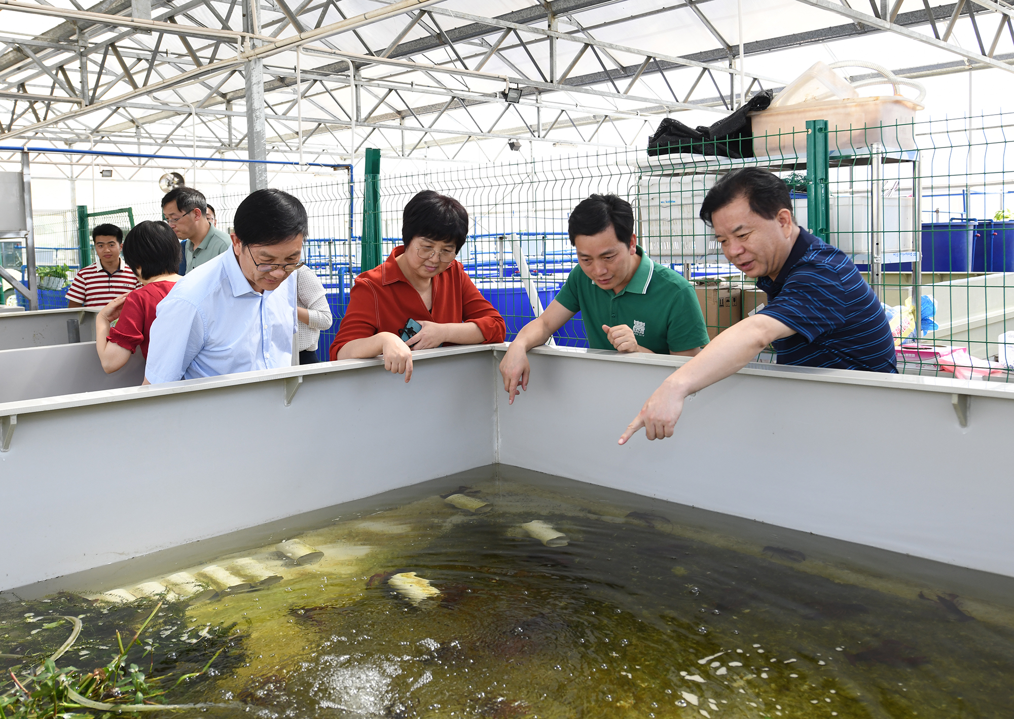 王玲一行调研棋牌娱乐
教学科研基地，查看小龙虾养殖情况（记者 刘涛 摄）